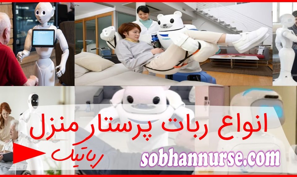 ربات پرستار منزل [رباتیک] – انواع و مقایسه با پرستار در منزل واقعی5 (44)